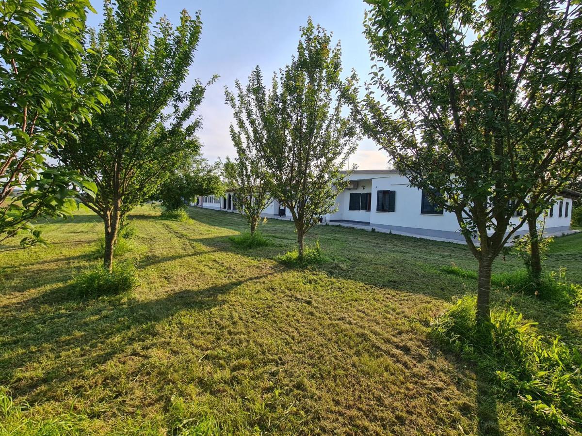 فيلا Agriturismo Ca Novak Venezia مخرج سبينيا المظهر الخارجي الصورة